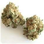 Шишки "White Widow" (Белая вдова) Гидропоника - Бошка VHQ в Шали Шишки "White Widow" (Белая вдова) Гидропоника - Бошка VHQ в Шали