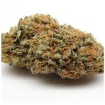 Шишки AK47 (Гидропоника, Бошка) VHQ в Шали Шишки AK47 (Гидропоника, Бошка) VHQ в Шали