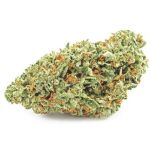 Шишки OG Kush (Гидропоника, бошки) VHQ в Шали Шишки OG Kush (Гидропоника, бошки) VHQ в Шали